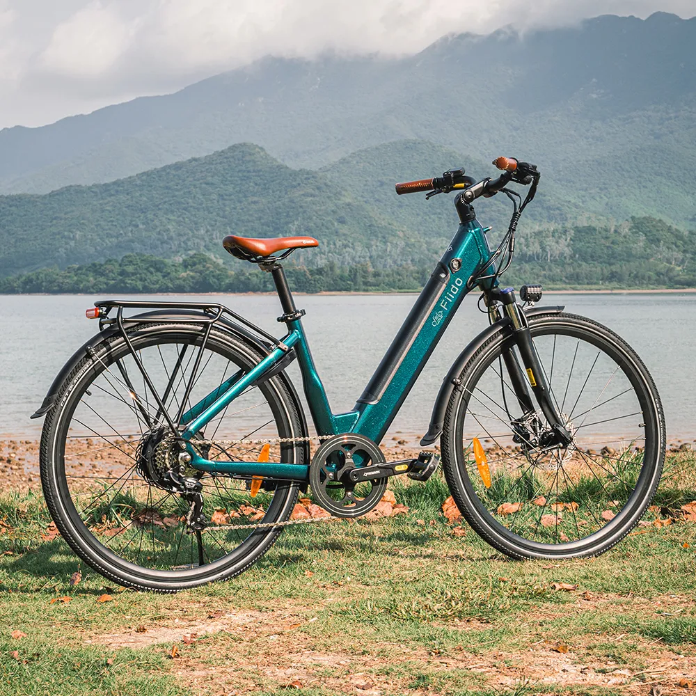 Fiido C11 Pro Leichtes Urban E-Bike - Image 9