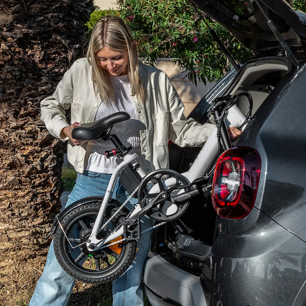 Fiido D3 Pro Mini E-Bike - Image 4