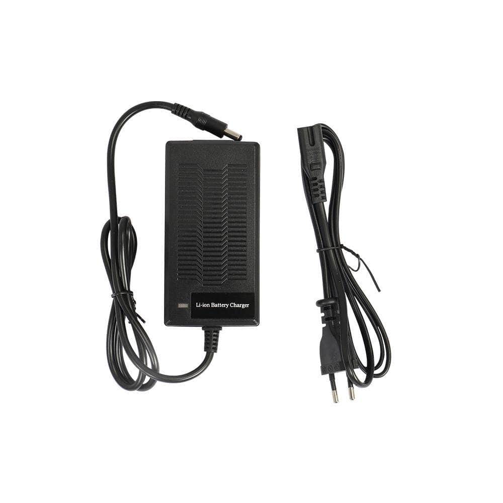 Fiido Ladegerät Für D1/D2/D2S/D4S/M1/Q1/Q1S/X-Eu-Stecker