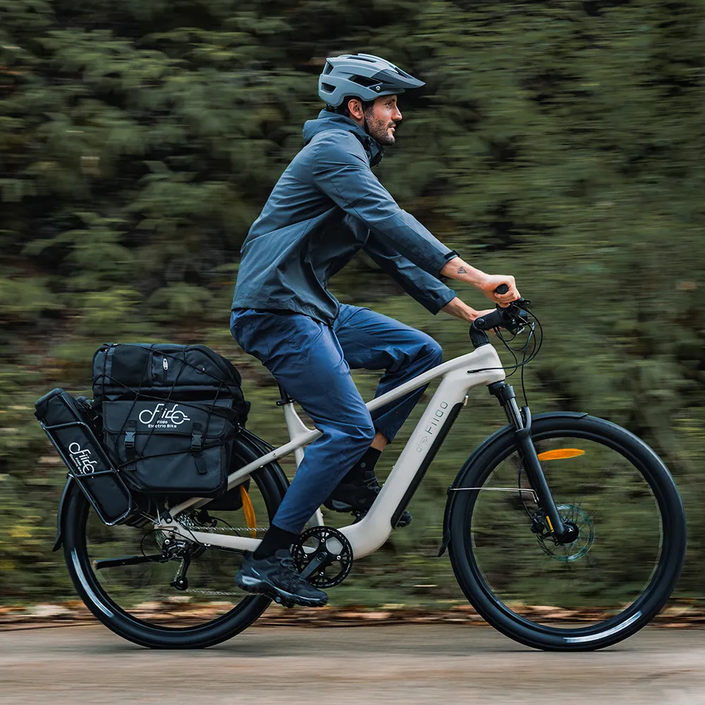 Fiido Nomads Touring E-Bike - Image 3