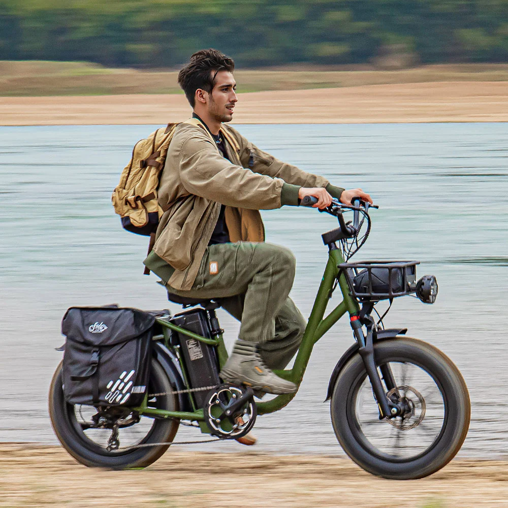 Fiido T1 Pro Leistungsstarkes Lasten-E-Bike mit Fatbike - Image 3