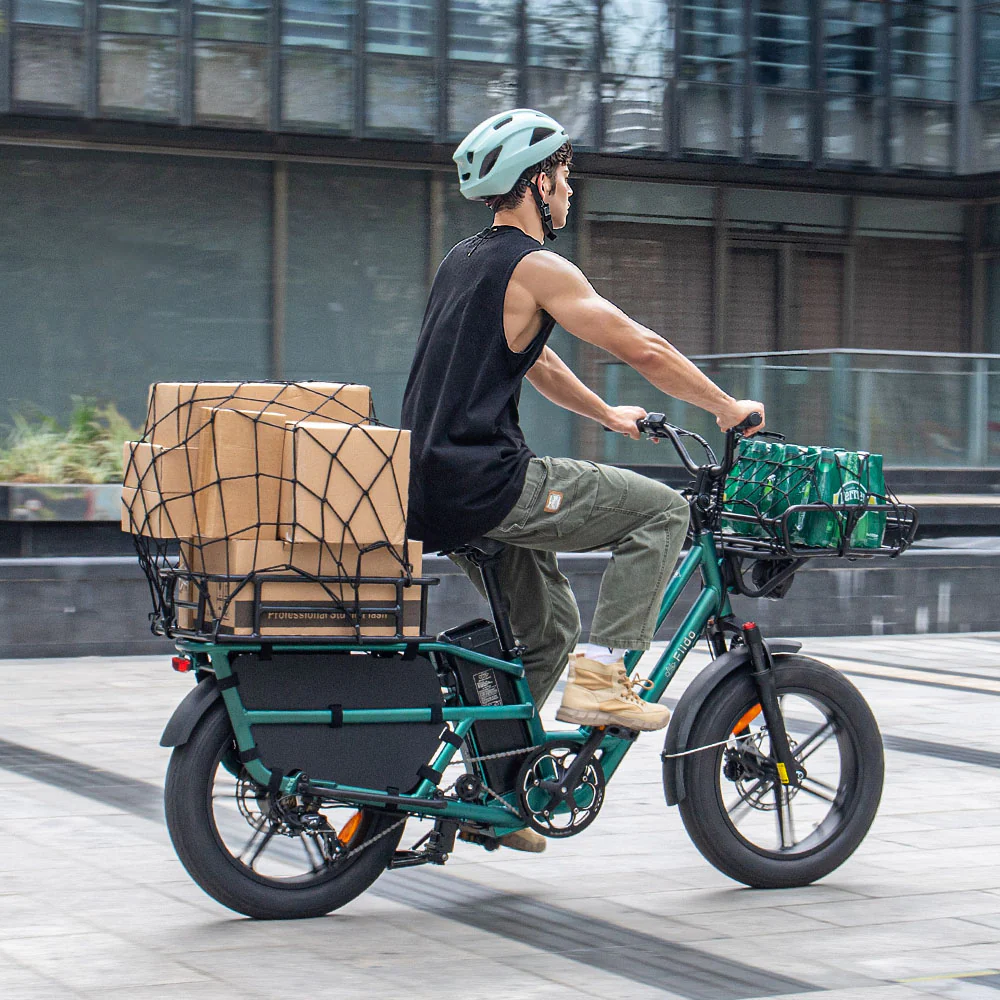 Fiido T2 Longtail Lasten-E-Bike - Image 8